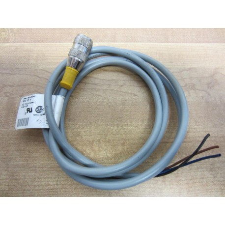 Turck RK 4T-4 Cable U2157 - New No Box