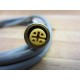 Turck RK 4T-4 Cable U2157 - New No Box