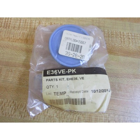 Walchem E36VE-PK Repair Kit 75557