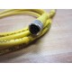 Brad Connectivity 443030A10M020 Cable 1200870078