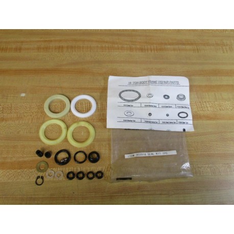 Asco 302318 Seal Kit Missing Smallest Ball