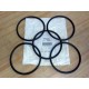 Dygert 1KML7 Buna-N O Ring (Pack of 5)