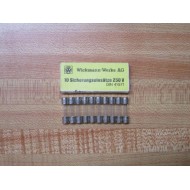 Wickmann 19201-0.315A Littelfuse Fuse M0.315250C Fine Wire Element (Pack of 10)