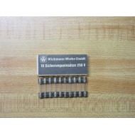 Wickmann T2L 250V Littelfuse Fuse T2L250V Fine Wire Element (Pack of 10)