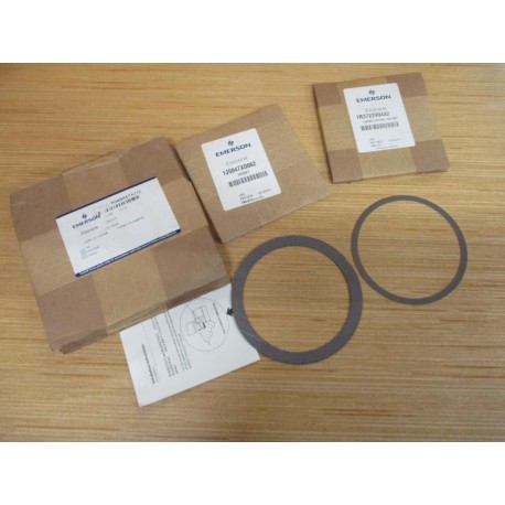 Fisher RGASKETX212 Emerson Gasket Set