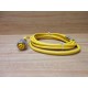 Turck RKV 40-3M Connection Cordset U-21030