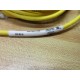 Turck PSG 3M-10 Connection Cable U0135-5 - New No Box