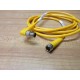 Turck 164K166G07 Cable Assembly U-19946