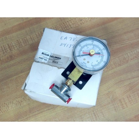 Bijur Delimon B5613 Pressure Gauge WFitting