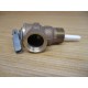 Cash Acme NCMX-1 Relief Valve 34" x 34"