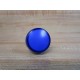 Allen Bradley 800FM-P6 Blue Button 800FMP6