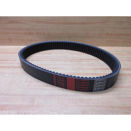 Jason 2830V422 UniMatch Multi Speed Belt