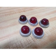 Allen Bradley 800T-N20 Pilot Light Lens Assembly 800TN20 (Pack of 5) - Used