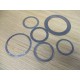 Fisher RGASKETX252 Design E Gaskets