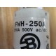Buss FWH-250A Bussmann Fuse Cross Ref 6F400 - Used