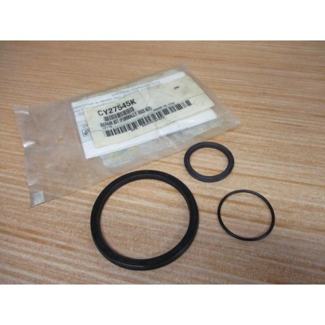 Enerpac CY27545K Repair Kit