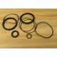 Motion Controls R-20355 Repair Seal Kit R20355