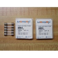 Gould Shawmut Ferraz Mersen GGM34 Fuse P1037773 (Pack of 10)