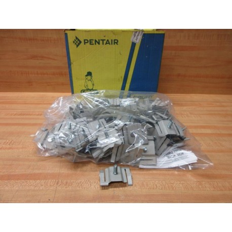 Pentair 4G24 Caddy Twist Clip WStud (Pack of 100)