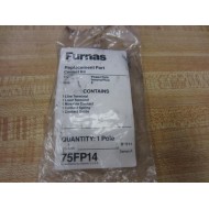 Furnas 75FP14 Replacement Part Contact Kit Series A