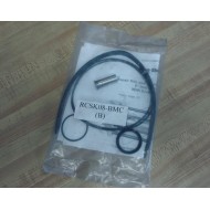 Allen-Sherman-Hoff RCSK08-BMC Cylinder Repair Kit RCSK08BMC