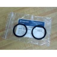 Pentair 2101384 O-Ring (Pack of 2)