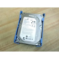 Seagate 1BD141-301 3.5" HDD ST250DM000 - Used