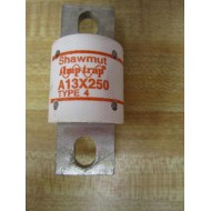 Gould Shawmut Ferraz A13X250 Mersen Fuse A13X250-4 (Pack of 5) - New No Box