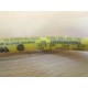 Daniel Woodhead  Brad Harrison 208000A04M050 Cable - New No Box