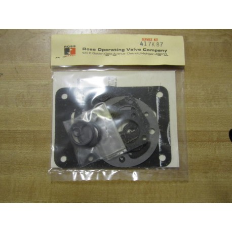 Ross 417K87 Valve Service Kit 12"-34"