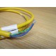 Turck RSM 30-1M Mini-Fast Cordset U2075-3 - New No Box