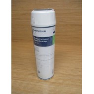 Pentair GAC-10 Granular Activated Carbon Cartridge GAC10