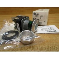 Allen Bradley 800T-FXQ24GD1 Push-Pull Button 800TFXQ24GD1