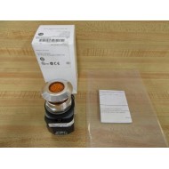 Allen Bradley 800T-FXNP16AA Push Pull Switch