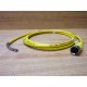 Pepperl + Fuchs V12-G-YE2M-PVC-ABG Connection Cable V12GYE2MPVCABG