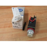 Allen Bradley 800MR-PT16WK Small Round Pilot Light 800MRPT16WK