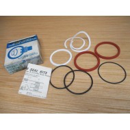 Parker PK322HLL05 Viton Piston Seal Kit 3-14"