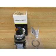 Allen Bradley 800T-PC316BGXA Cluster Lamp