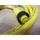 Pepperl + Fuchs V95-G-YE2M-STOOW Cable 903366