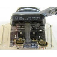 Allen Bradley 800T-A2P Flush Head Push Button 800TA2P WGround Arm - Used