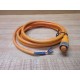 Sick 6008899-2M Cable Assembly 6008899 - New No Box