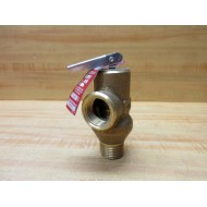 Watts 53L 12" Pressure Relief Valve 53L - New No Box
