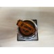 General Electric CR104PST21A11S2 Selector Switch