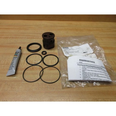 Asco Numatics F98-LB-AA Repair Kit F98LBAA