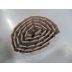 Rexnord 10177689 TableTop Chain LF820K6 7' Length