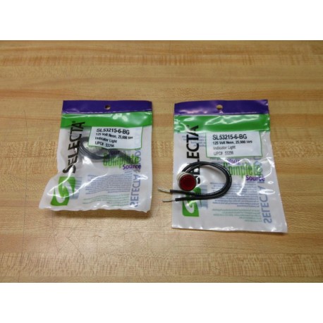 Selecta SL53215-6-BG Indicator Light SL532156BG (Pack of 2)