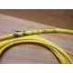 Brad Connectivity 803000A09M040 Micro-Change Cordset 1200650135