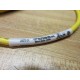 Turck PKG 4Z-4 Picofast Cordset U0070-34