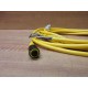 Turck PKG 4Z-4 Picofast Cordset U0070-34