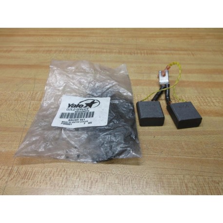 Yale 504229274 Carbon Motor Brush Set